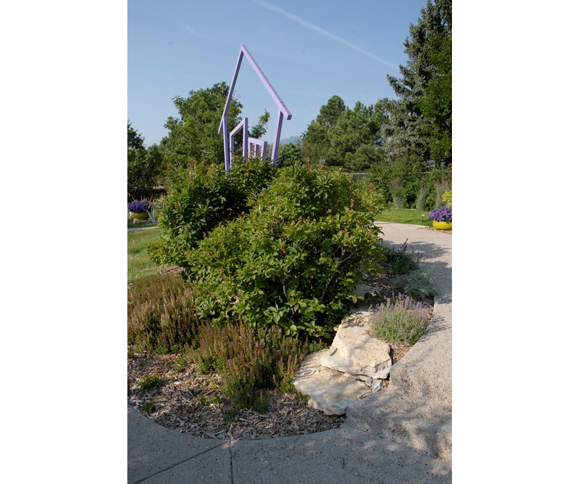 Miss Kim Dwarf Lilac